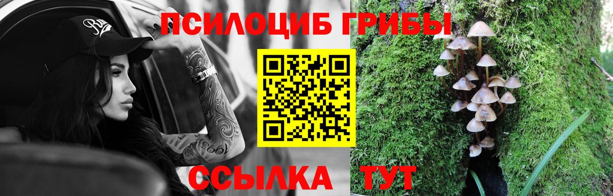 Галлюциногенные грибы Cubensis Каспийск